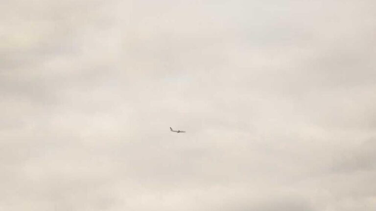 How To Use The 11Xplay Online Id App After Installation?