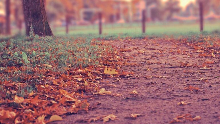 How Long Does A 99Exch Server Update Usually Take?